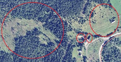 hey look i am tiny :D