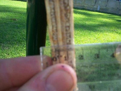 side of ply<br /><br />sorry guys it was 1/2&amp;quot; not 3/4&amp;quot;