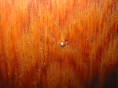 bb imbedded in plywood