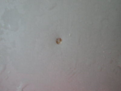 dented metal backstop