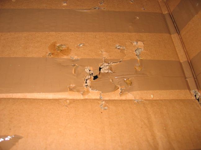 DAMAGE!<br />(i am not sure if it was an dog food round or an airsoft one)<br />Paintballs go trough 3 layers of it!