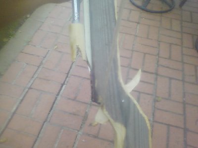 side view of trigger