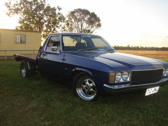 holden wb.jpg