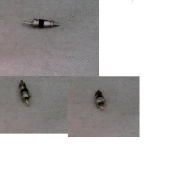 The little thing inside my bike valve.