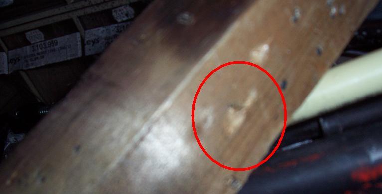 Damage.Might seem unimpressive, but the lead ball was flattened!<br />Longer barrel means all the way in next time!