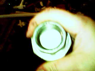 The burst disk.
