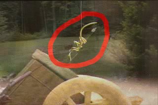 GIMP'd for your pleasure.