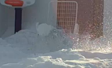 freeze frame I think it's cool