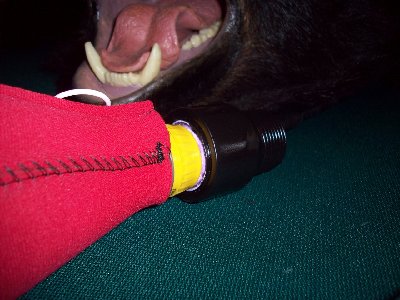 I painted the PVC black because I goofed up masking off the fitting when gluing, so I wound up with primer stains where the ribs on the fitting were.