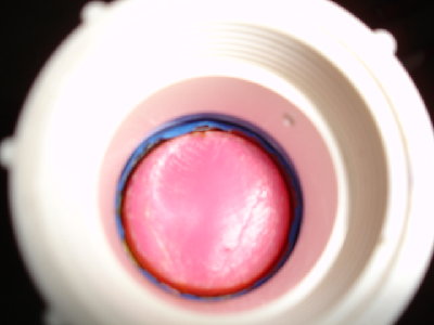 actual pison in the valve, the pink is a stobber from a soft ball