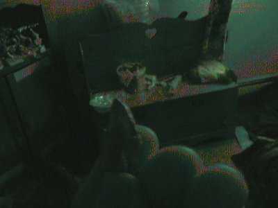 Head of the ammo after impact