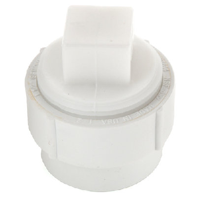 PVC Clean out.  I don't use these in PVC.