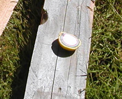 Zoom on the split jawbreaker showing the layers.