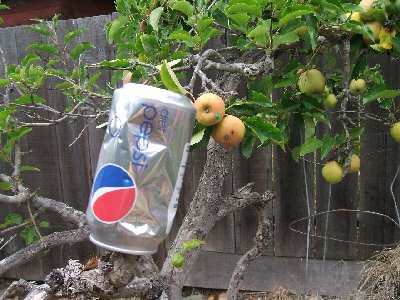 Target practice from around 60 feet