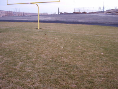 Apple landing in the end zone.  Launched from the shop, over the gym, parking lot, outhouses, bus barn, other goal post and out here.
