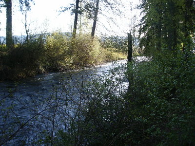 We didn't retrieve them because we had a small obstacle in the way.