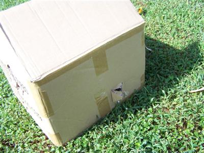 The golf ball exited the box and attempted to burrow into the ground before deciding to run about 30 yards and hide beneath a bush.