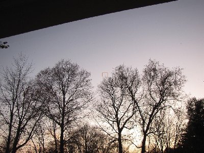 This is a photo with 0x zoom.