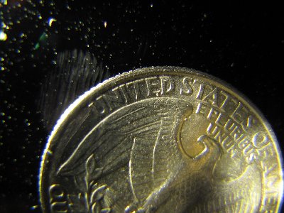 I guarentee you this is far as macro goes. The quarter in the photo is sitting on the lens! That fingerprint and dust is also on the lens.