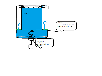 diaphragm