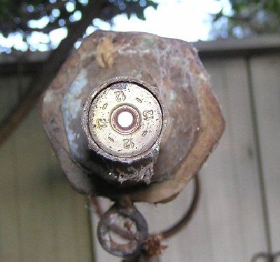 shotshell in barrel
