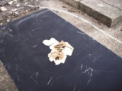 second shot rear damage.