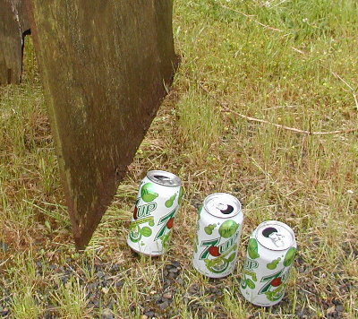 The victims.  Empty pop cans and a steel plate