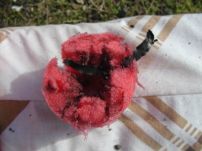 I was lucky and one strand of the battery case was trapped in the remains of the sabot.<br /><br />The sabot was ripped to shreds by the exploding battery.