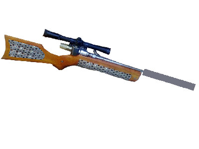 finishedgunsmall_959.jpg