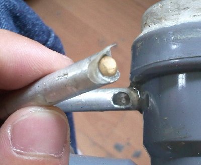 IMG384.jpg