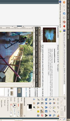 The Gimp on Linux. Resized, rotated and uploaded.
