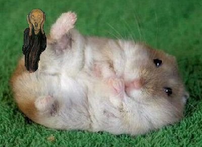 mousefartscream.jpg