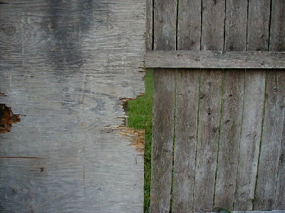 Another piece of wood I hit- and broke my fence.