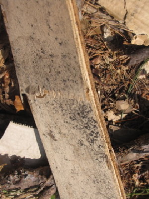 Shattered back of 1/2 inch ply wood.