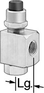 Puss-Button Valve, 1/8NPT, 300PSI