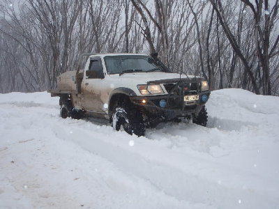 howitt plains, some of then best fun playing in the snow!!!