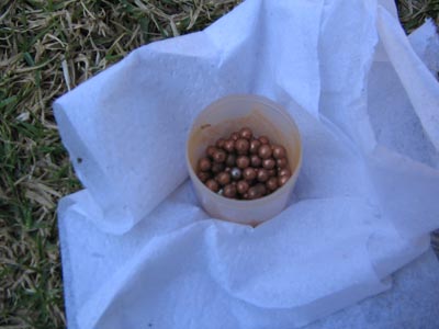 I put a ball of tightly packed tissue down the barrel then metal bb's and some more tissue. This was a sabot.