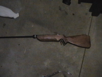 The gun...