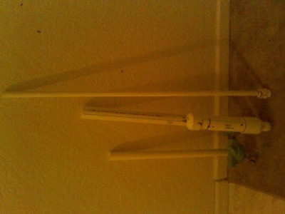 For some reason this photo uploaded on its side.