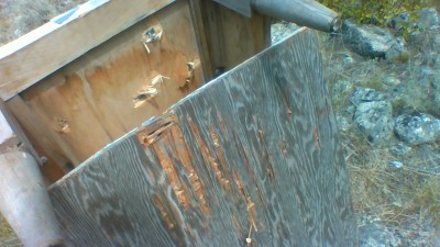 Removed the carpets so you can see the exit holes.