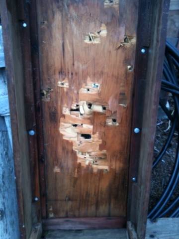 Better view of table