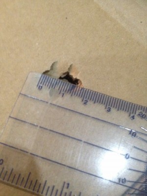 10 rounds at 7 meters