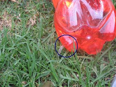 The throwing spike went another 10 meters.