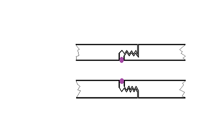 Oring de retención.png