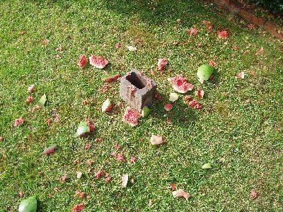 Just after the shot.Crazy I tell you.