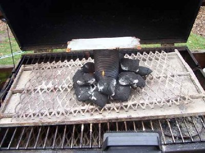 Yeah, thats how I melted my lead. I dont really recommend this though.