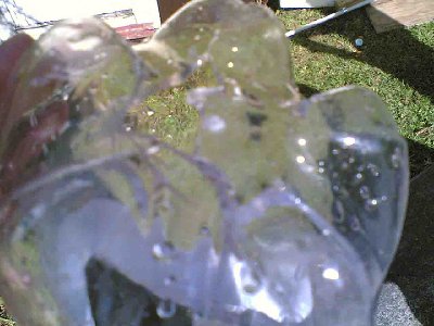 I thought It would be fun to fill a coke bottle up with water and shove it on the end of the barrel, with a marble loaded in it. Made a nice hole