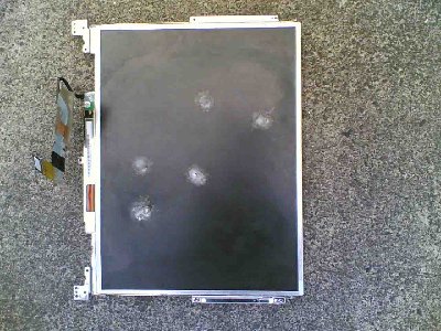 Shot some hard monkey apple type things at a laptop screen. Straight through.