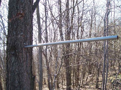 a piece of pipe I shot at a tree. Im guessing it sunk in about 6-8&amp;quot;<br />The mark higher up is from a ricochet