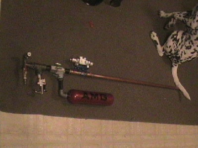 my gun with my awesome dalmation logan